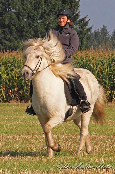 Bine und Kjarkur a.jpg - Sabine und Kjarkur